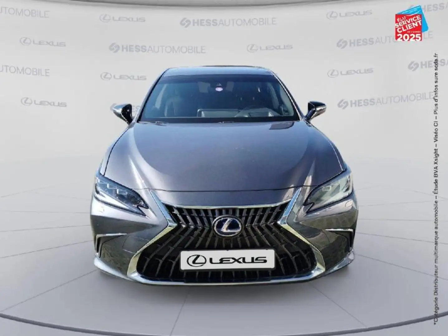 Lexus ES 300 300h Executive TOuvrant Camera GPS siva - 2