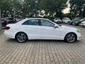 Mercedes-Benz E 200 CDI 7G-TRONIC "Avantgarde" Blanc - thumbnail 8