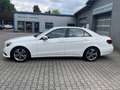 Mercedes-Benz E 200 CDI 7G-TRONIC "Avantgarde" Blanc - thumbnail 7