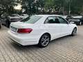 Mercedes-Benz E 200 CDI 7G-TRONIC "Avantgarde" Blanc - thumbnail 4