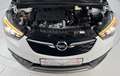 Opel Crossland X INNOVATION*1,5CDTI-88KW*NAVI*TEMP*SH*LED*KAMERA*E6 Blanco - thumbnail 4