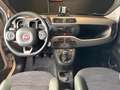 Fiat Panda 0.9 TwinAir Turbo S&S 4x4 Beżowy - thumbnail 14