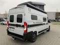 Crosscamp Camper Van Full 600 Opel Aufstelldach Grau - thumbnail 4