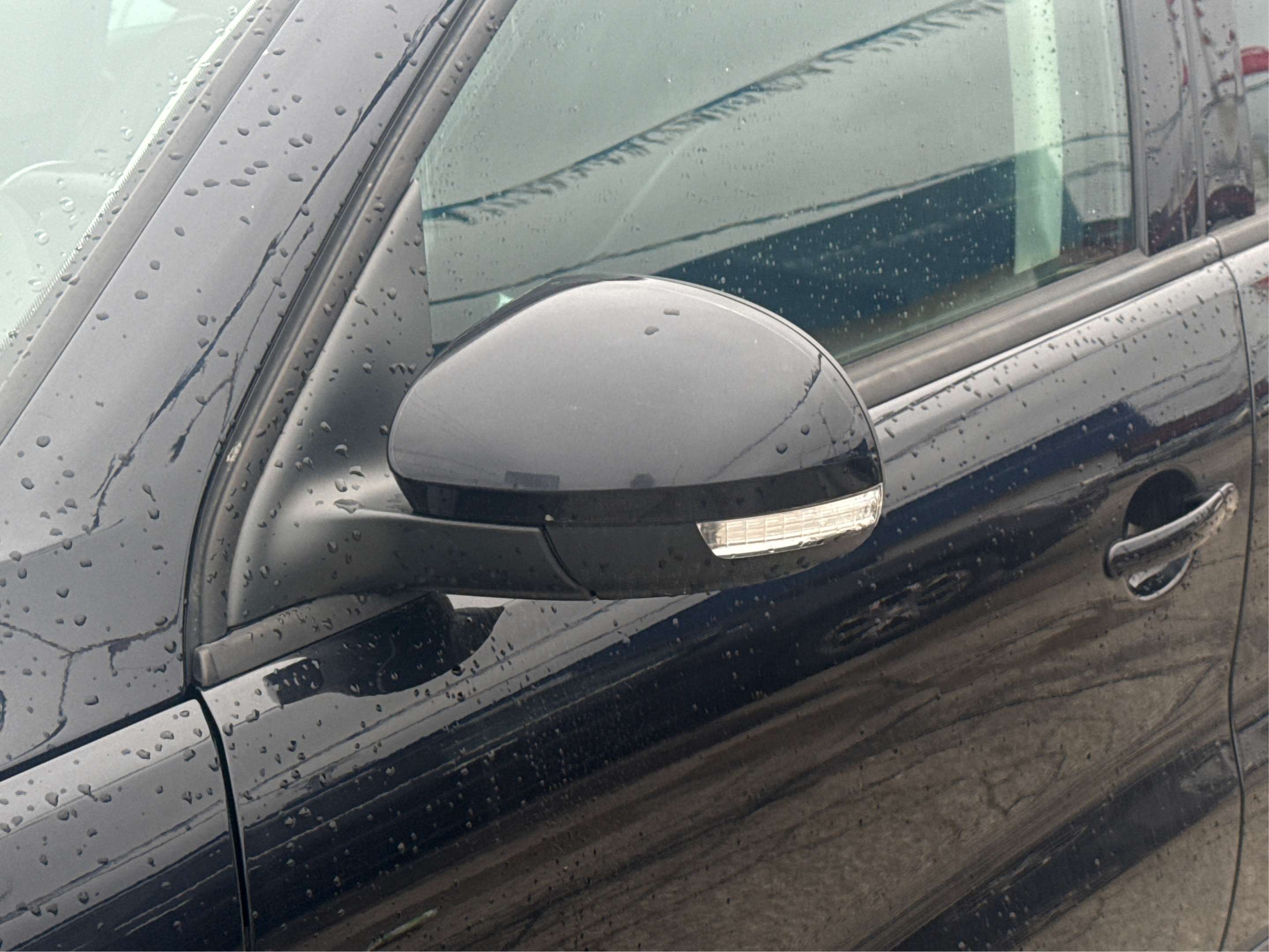 Image 19