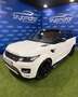 Land Rover Range Rover Sport 3.0SDV6 Autobiography 306 Aut. Blanco - thumbnail 4
