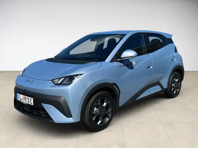 BYD Dolphin Surf