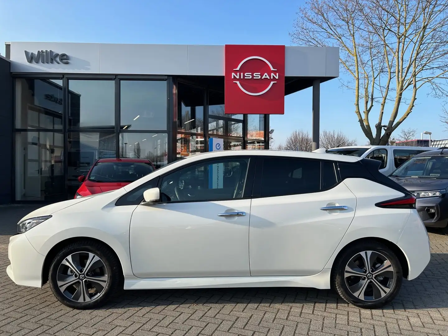 Nissan Leaf 40kWh N-CONNECTA/LED+WINTER/PRO PILOT Weiß - 2