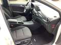 Mercedes-Benz B 180 automaat, cruise, nette auto, White - thumbnail 13