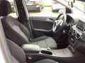 Mercedes-Benz B 180 automaat, cruise, nette auto, White - thumbnail 14