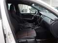 Skoda Octavia 2.0 TDI Style Combi Sport Navi Alu PDC Weiß - thumbnail 11