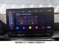 CUPRA Leon Sportstourer 2.0 TSI DSG LED NAVI ACC SHZ Grau - thumbnail 28