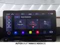 CUPRA Leon Sportstourer 2.0 TSI DSG LED NAVI ACC SHZ Grau - thumbnail 25