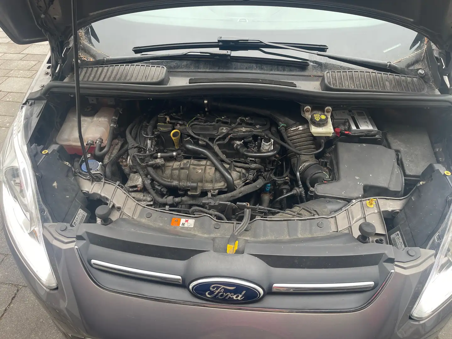Ford C-Max C-Max 1.6 EcoBoost Start-Stop-System Trend Beige - 2