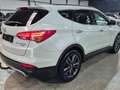 Hyundai SANTA FE Santa Fe 2.0 CRDI 2WD Style Blanc - thumbnail 6