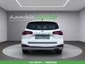 Ford Focus Turnier 1,5 EcoBlue Active Aut. Weiß - thumbnail 8