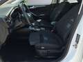 Ford Focus Turnier 1,5 EcoBlue Active Aut. Weiß - thumbnail 12