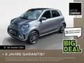 smart forFour EQ  +passion ++Pano+Allwetter+Navi+Winter+ Grau - thumbnail 1