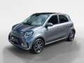 smart forFour EQ  +passion ++Pano+Allwetter+Navi+Winter+ Grau - thumbnail 2