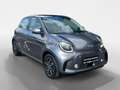 smart forFour EQ  +passion ++Pano+Allwetter+Navi+Winter+ Grijs - thumbnail 7