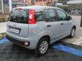 Fiat Panda Panda III 2016 1.2 Easy s Gris - thumbnail 5