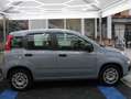 Fiat Panda Panda III 2016 1.2 Easy s Gris - thumbnail 2