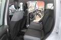Fiat Panda Panda III 2016 1.2 Easy s Gris - thumbnail 9