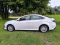 Mazda 6 Sport 2.2 CD DPF Sports-Line - thumbnail 5