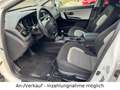 Kia Ceed / cee'd Cee'd 1.6 GDI Dream Team 1.HAND | KAMERA | TEMPO Alb - thumbnail 5