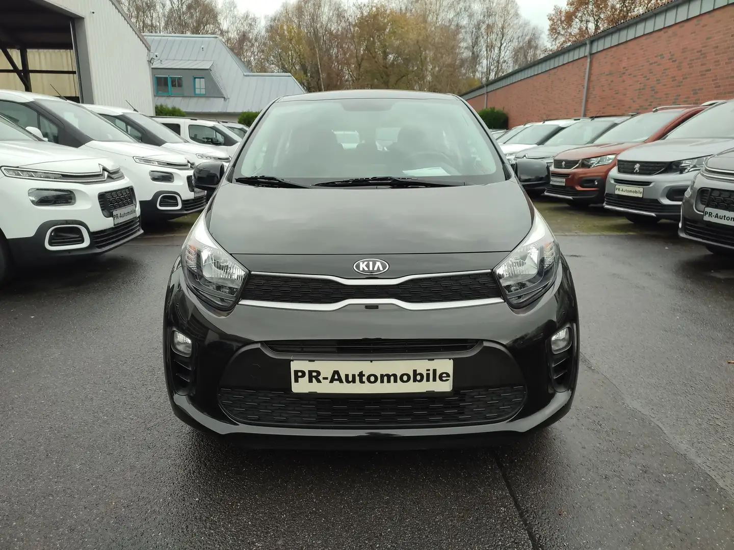 Kia Picanto 1.0 Klima/Sitzhzg/Lenkradhzg/ZV/Cam Noir - 2