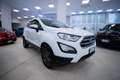 Ford EcoSport 1.0 ecoboost Titanium s&s 125cv - thumbnail 17