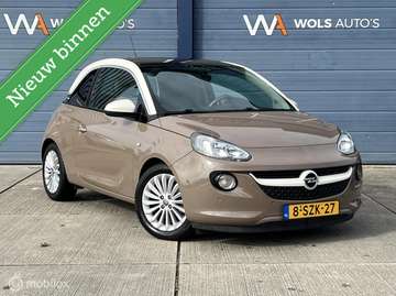 1.4 Glam / 1e EIGENAAR / PRACHTIGE KLEUR / GOED ON