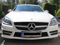 Mercedes-Benz SLK 300 9G-TRONIC, AMG-Line, Sport-Abgasanl., Navi bijela - thumbnail 1