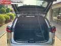 Lexus NX 300 NX Plug-in 4WD F-Sport Grau - thumbnail 13