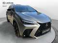 Lexus NX 300 NX Plug-in 4WD F-Sport Grau - thumbnail 4