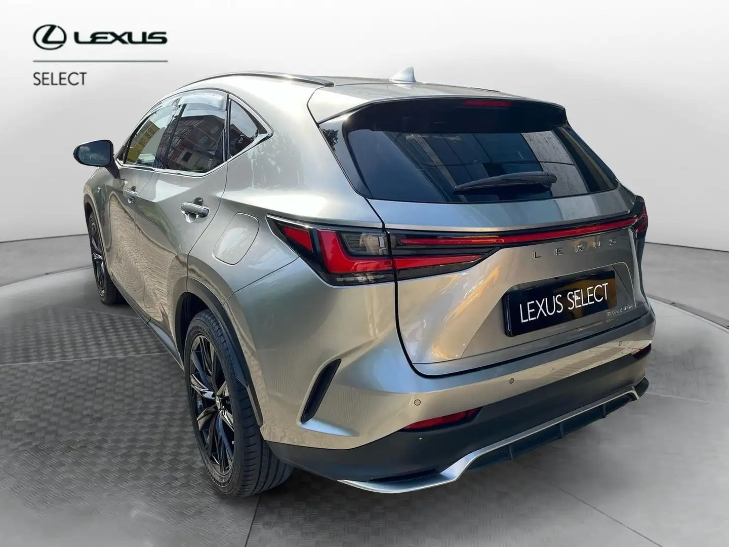 Lexus NX 300 NX Plug-in 4WD F-Sport Grau - 2