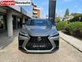 Lexus NX 300 NX Plug-in 4WD F-Sport Grau - thumbnail 6