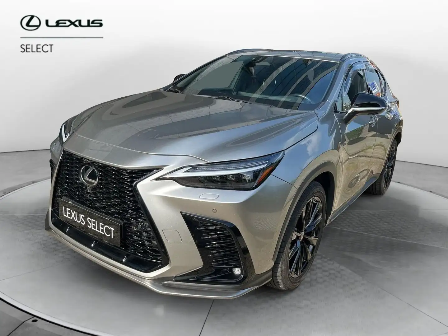 Lexus NX 300 NX Plug-in 4WD F-Sport Grau - 1