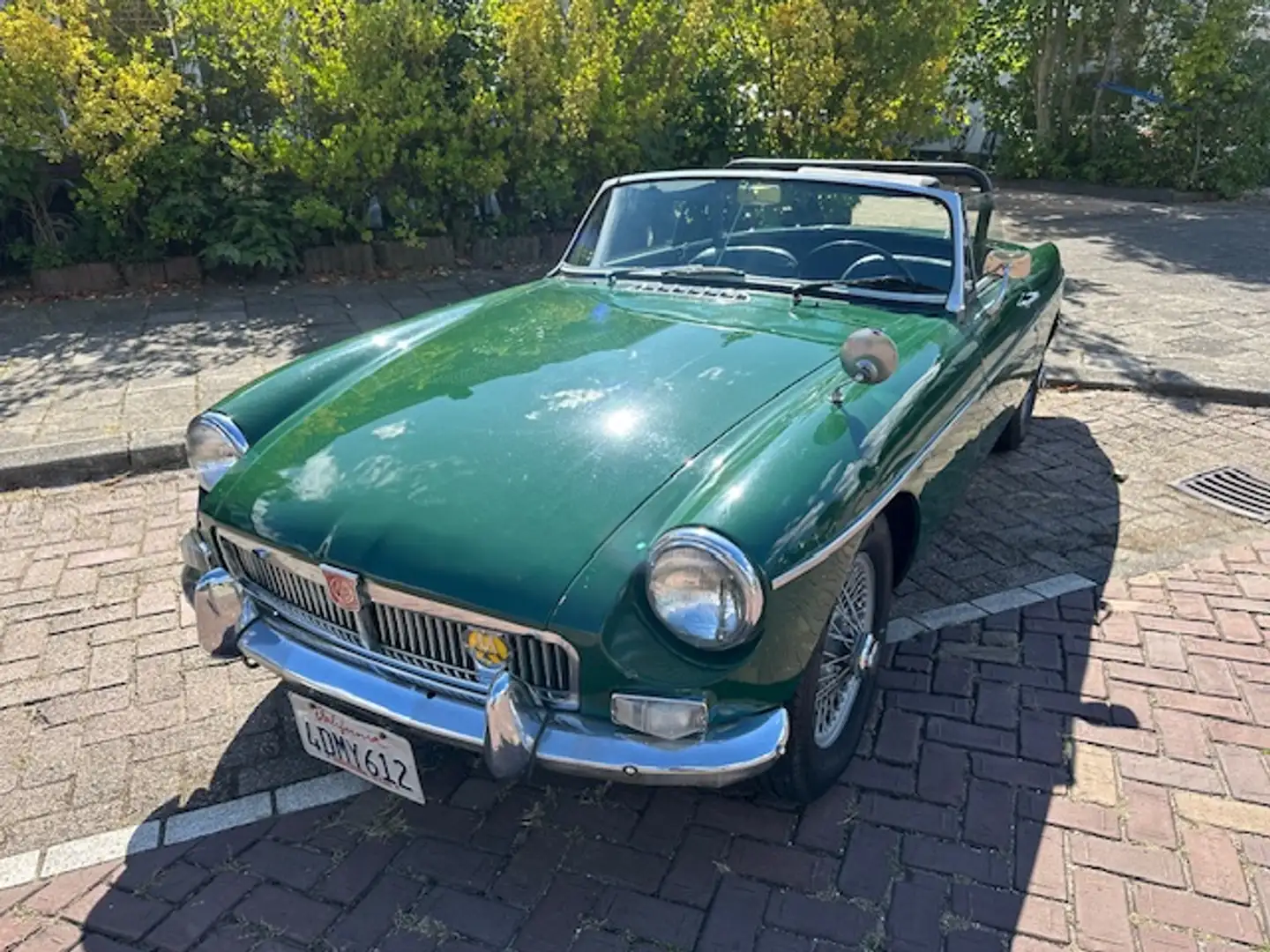 MG B Vert - 1