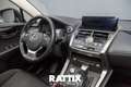 Lexus NX 300h 2.5 Hybrid Business CVT Gri - thumbnail 15
