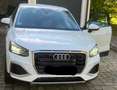 Audi Q2 Q2 30 TFSI advanced/ AHK; Navi; Android; Apple Car Weiß - thumbnail 1