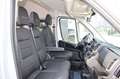 Fiat Ducato 33 L2H2 140 9-Sitze Taxi Netto EUR 41490.-exkl.... Schwarz - thumbnail 19