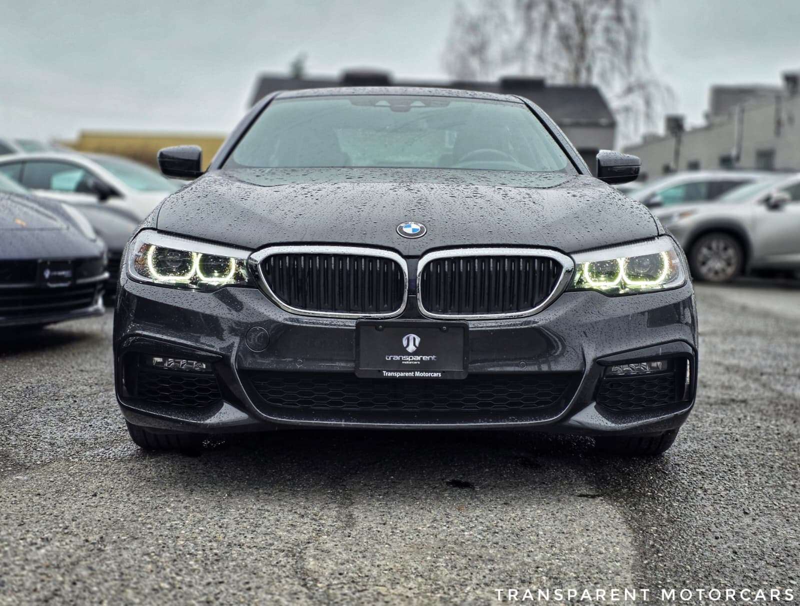 2020 BMW 5 Series Plug-In Hybrid/Premium Essential Package/M Sport P alt 3