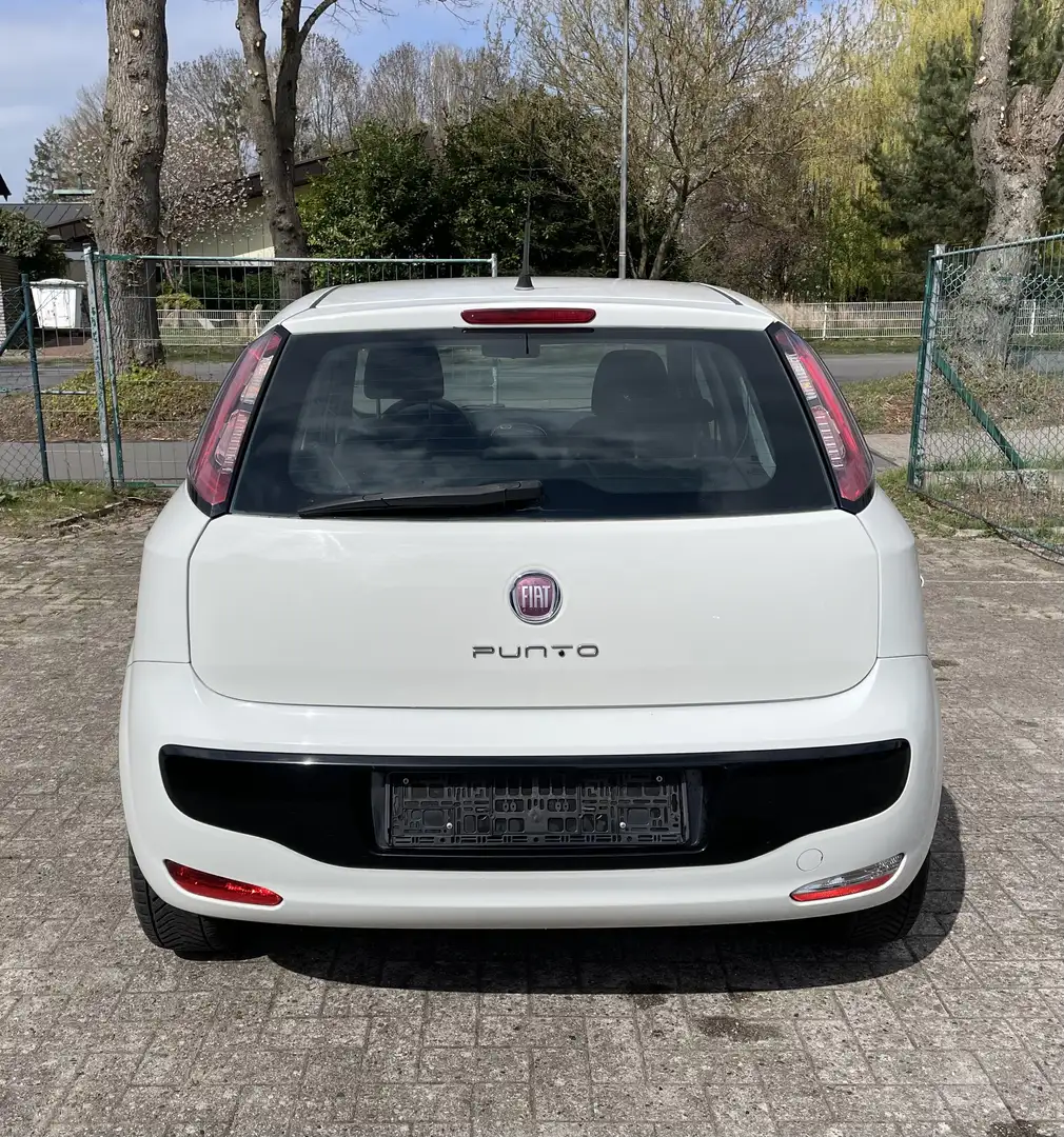 Fiat Punto TÜV NEU Blanc - 2