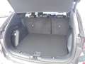 Ford Kuga ST-LineX FHEV Vollhybrid 180PS Systemleistung Grau - thumbnail 7