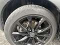 Toyota Urban Cruiser 1.4 d-4d Luxury Awd 4x4 - thumbnail 14