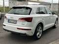Audi Q5 40 TDI quattro-ultra S line S tronic 150kW Blanc - thumbnail 4
