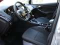 Ford Focus 1.5 TDCi 120 CV Start&Stop Business Grigio - thumbnail 12