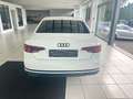 Audi A4 30 TDI basis Blanc - thumbnail 6