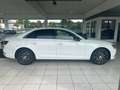 Audi A4 30 TDI basis Blanc - thumbnail 7