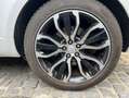 Land Rover Range Rover Sport Land 3.0 TDV6 260cv HSE 4WD BVA Blanc - thumbnail 29